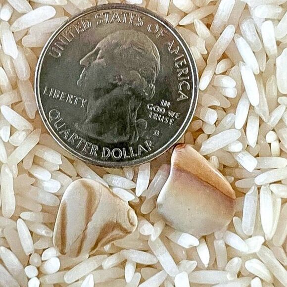 Vintage Natural Picture Jasper Gemstone Post Earrings - Picture 7 of 8